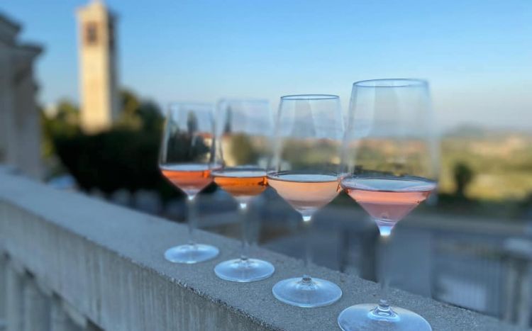 Sfumature di rosa per i vini della Valtenesi
