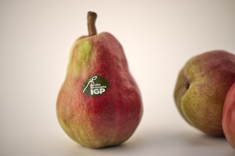 Il Bollino &egrave; uno strumento utile per identificare visivamente&nbsp;la Pera dell&rsquo;Emilia Romagna IGP
