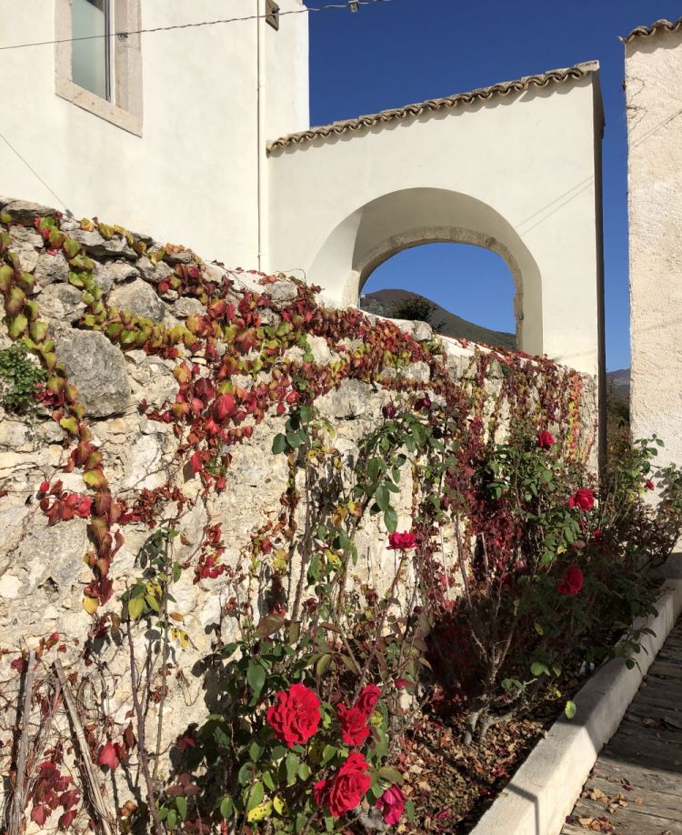 The wall at the entrance, blooming with red roses

