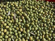 Olive bosane, dalla Sardegna