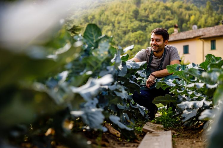 Gigli negli orti attorno all'Une e, a sinistra, nella cantina con conserve e fermentati
