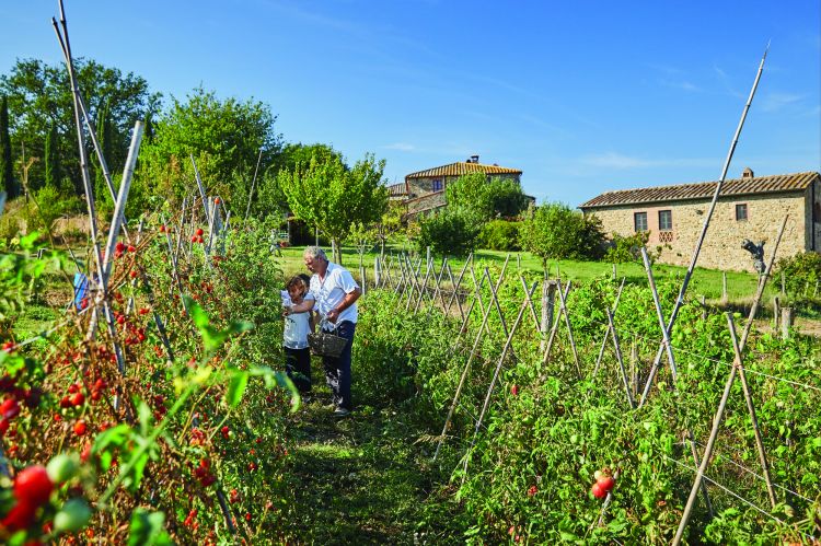 Novità della stagione 2023, gli Orti del Castello permettono di esplorare e scoprire l'autentica vita rurale toscana. Da qui parte l'esperienza degli ospiti che, accompagnati dall'executive chef Daniele Sera, riscoprono i sapori genuini e gli ingredienti a km 0 della tenuta.
