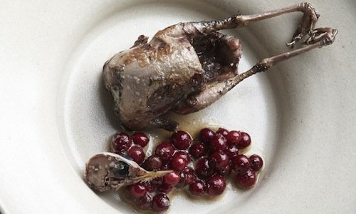 Tordo con lingonberry (bacche molto diffuse in Sca