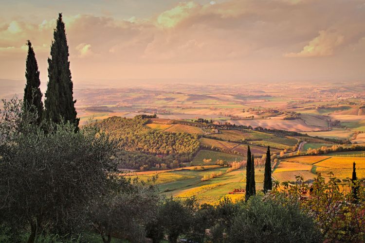 Lo splendido territorio attorno a Montalcino
