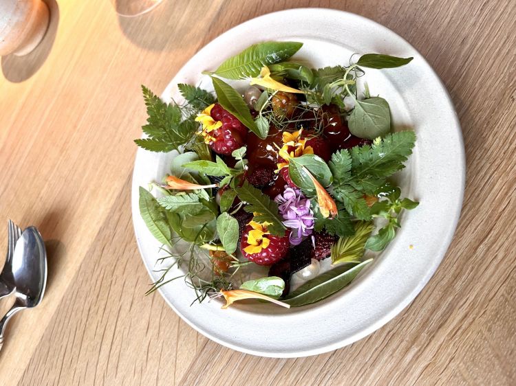 Chocolate herb salad
Insalata di frutta al cioccolato. Salsa di cioccolato al caramello, guarnita da erbe che arrivano dalla greenhouse di proprietà (verbena, basilico, ribes bianco, lampone...)
