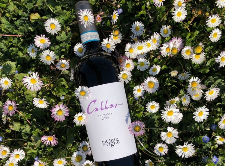 La Malvasia Callas è il vino di punta dell'azienda per quanto riguarda i vini bianchi
