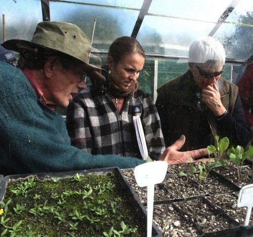 He grows big cherry tomatoes, garlic, zucchini and whita and yellow potatoes