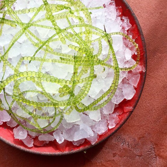 Sea Beads (letterlmente "perle di mare"), uno degli ingredienti scoperti da Redzepi in Australia
