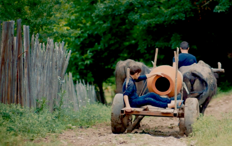 Transporting amphorae in the Kakheti countryside
