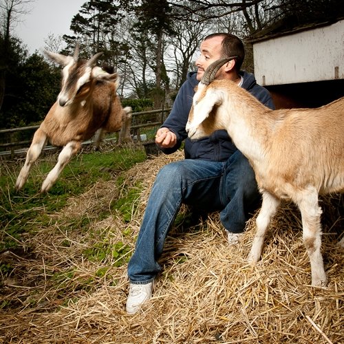 Cabrito Goat Meat's goat farm