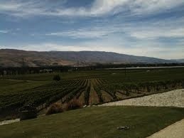 Central Otago Pinot Noir Celebration, end of January-beginning of February