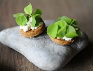 Butter biscuit with cheese and wood sorrel. In de Wulf's 2 tasting menus are 105 and 125 euro (165 and 205 including wine pairing) (photo by Passione Gourmet)