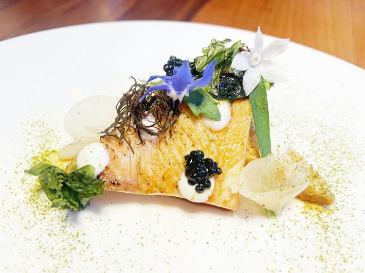 Ricciola del Golfo dello Spencer, salsa teriyaki e cremoso all'ostrica