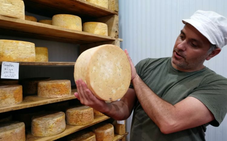 At the beginning of the ageing, the blue cheese is perforated with special metal needles which leave a channel for the air, thus favouring the development of the mould
