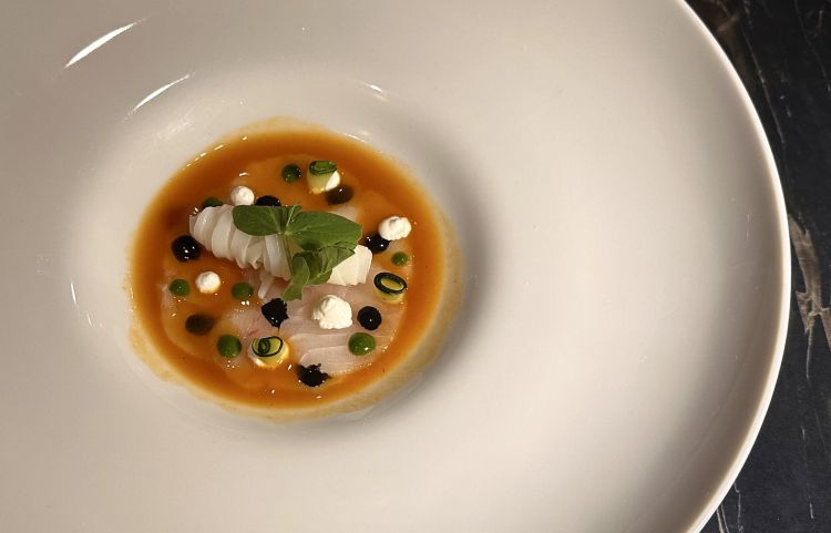 Carpaccio di merluzzo con fettucce di calamaro, lattica, zucchine e estratto di zuppa di pesce