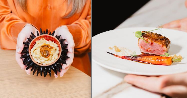 Fusilli fatti a mano polpa di riccio acciughe e burro di manteca e Controfiletto di podolica panatura alla camomilla jus di vitello al tè nero