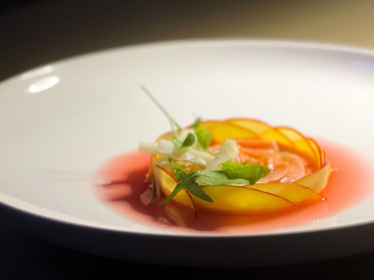 Ceviche alla pesca di trota salmonata e finocchio
