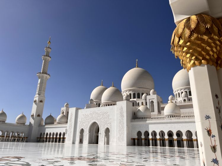 Particolare della Grande Moschea dello Sceicco Zayed, un impressionante intreccio architettonico varato nel 2007, dopo 11 anni di lavoro. E' un inno al dialogo tra culture, musulmane e non
