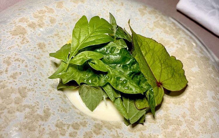 Foglie, senape, patata. Sotto alle foglie di diverse specie dell'orto (leggi foto sotto), c'è un sorbetto alla senape e una schiuma di patate. Un caldo/freddo molto piacevole, ingentilito dalla nota citrica fresca dell'aerosol al limone spruzzato al tavolo
