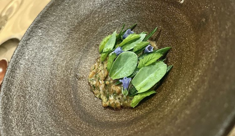 Anadara Inaequivalvis, mertensia maritima, potentilla e finocchio di mare.
L'Anadara inaequivalvis, altrove nota come blood clam o concha negra, è un mollusco bivalve arrivato nell’Adriatico attraverso le acque di zavorra e in breve tempo sta soppiantando telline e vongole. Non ha alcun valore commerciale ma, al pari del granchio blu, Brutto e Pavan ne incoraggiano il consumo per sensibilizzare al riequilibio dei fondali. Ha un basso contenuto di grasso e una percentuale di emoglobina ben più elevata delle razze bovine.

La composizione del nostro assaggio è più complessa di quanto non dica il nome in menu: c'è un budino di "sangue" di anadara, rapa di Chioggia fermentata, tartare di anadara con olio di zenzero peruviano, aglio arrostito e foglie di sanguisorba (salvastrella), foglie di mertensia, potentilla e finocchio di mare dei Paesi Baschi, altre specie invasive che stanno infestando l'ecosistema lagunare e adriatico
