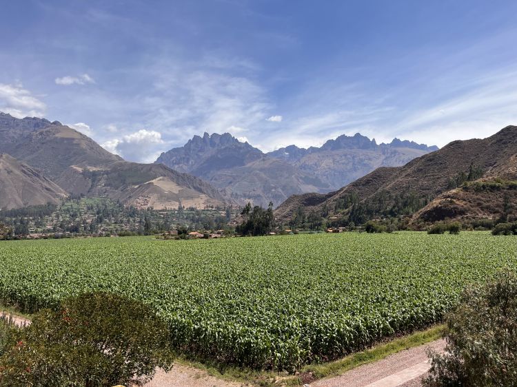 The Andean expedition begins at Explora, next to the village of Urquillos, about an hour's drive (40 km) from Moray, home to Mil. The hotel is in a scenic location, with views of the Andes and of maize plantations, and the rooms are large and spacious. An excellent starting point to explore the attractions of the Sacred Valley of the Incas (above all, Machu Picchu)