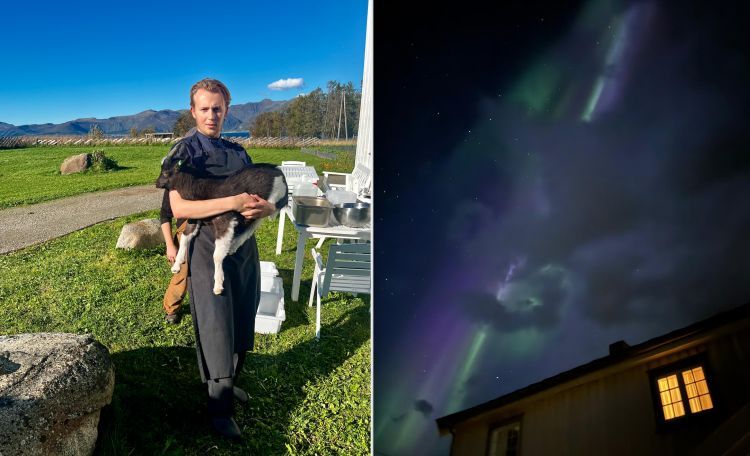 Halvar Ellingsen e il ristorante Kvitnes Gard nel silenzio delle isole dell’arcipelago di Vesterålen, Norvegia (con tanto di aurora boreale)
