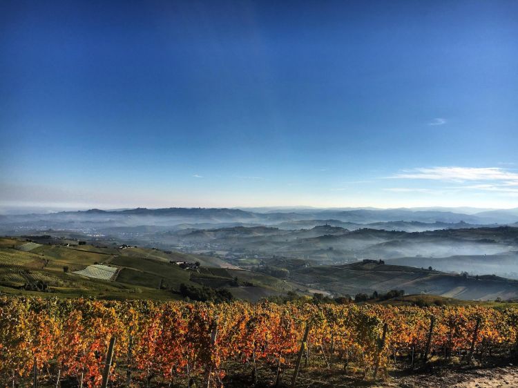 Il panorama di&nbsp;Bricco delle Viole
