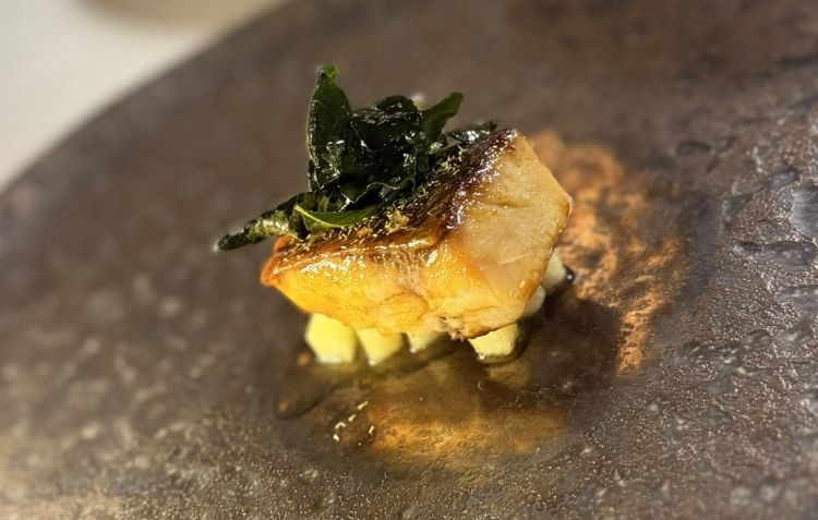 Ombrina, cacciatora di pollo, mela verde e camomilla
L’ombrina, cotta alla perfezione su hibachi, viene laccata con una salsa alla cacciatora di pollo. Alla base troviamo una dadolata di mela Golden, mentre completano il piatto camomilla in polvere, limone e foglie di curry. Il pesce è morbido e succoso, la mela dona freschezza e le foglie di curry regalano una piacevole spinta aromatica