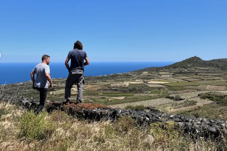 Panorami struggenti
