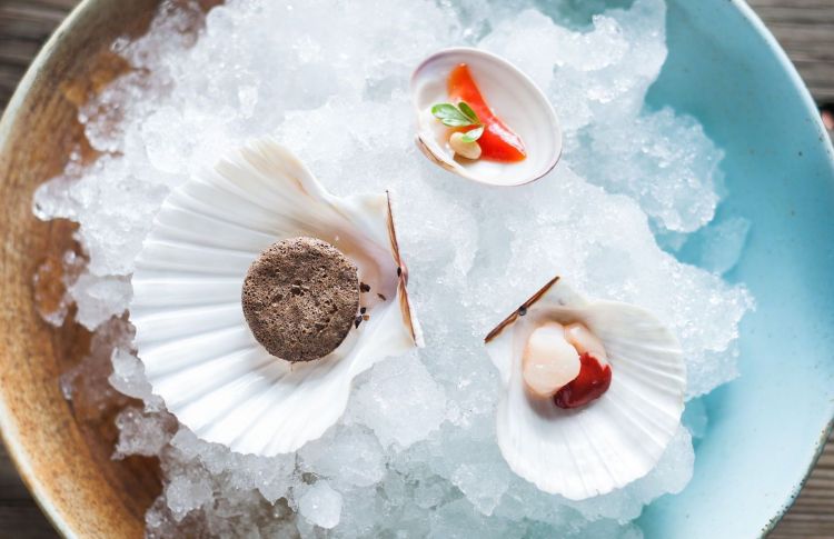Plateau royale di molluschi dell'Adriatico. Dall'alto, in senso orario: Fasolare, pinolo tostato e ruta; Canestrello al naturale e Capasanta, miso di giuggiole del giardino e cialda di noci nere. Un trittico ispirato al favoloso seafood menu del Noma di Copenhagen, ma in salsa locale: «Amiamo tanto i frutti dell'Adriatico, un mare chiuso con una concentrazione salina superiore alla media»