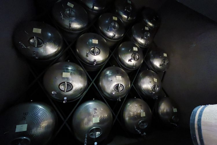 I vini in affinamento di Cantina Terlano