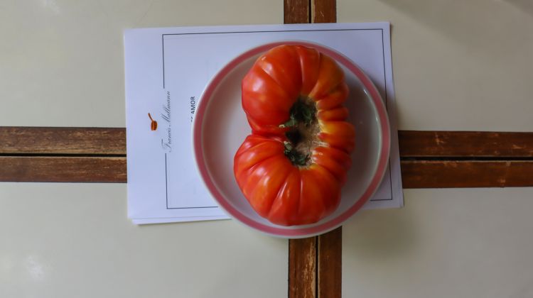 Il pomodoro al centro della tavola, non più come accompagnamento ma da protagonista
