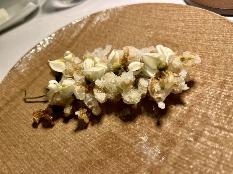 Fiori di acacia fritti. "La nostra tenuta ne è piena", spiega Caterina. Buonissimi
