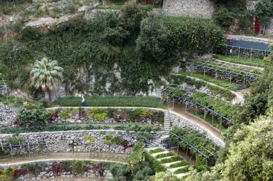 I terrazzamenti del San Pietro a Positano (Na)