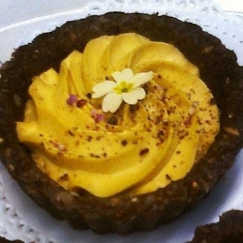 <i>Germinated wheat tarts, with cocoa and dried apricots and a cream of cashew nuts and vanilla</i>