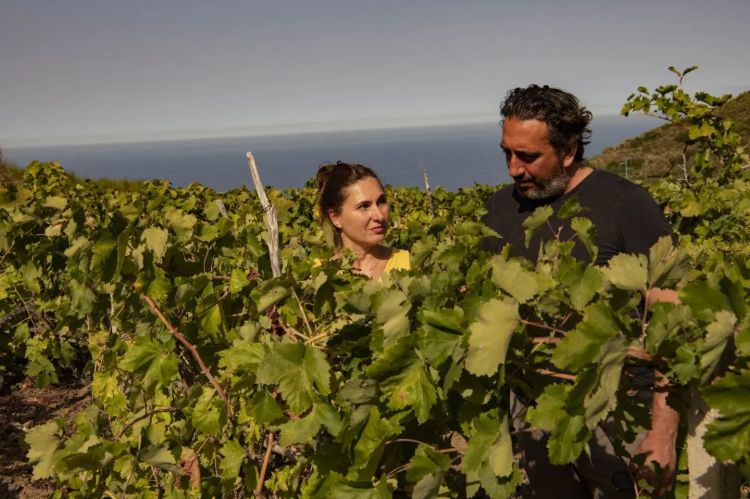 Luca Caruso e Natascia Santandrea tra le vigne di Eolia
