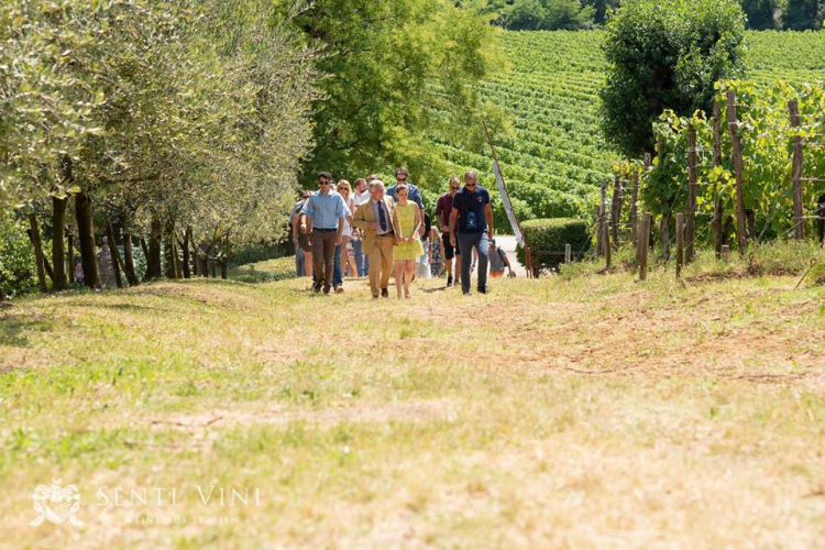 A spasso per Tenuta Rosaneti, uno dei gioielli del