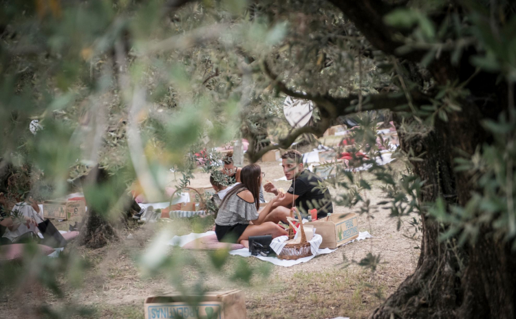 (fotografie Caterina Filippi-Camerachiara)
