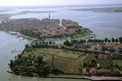 In primo piano, il vigneto di Venissa. Sullo sfondo, Burano