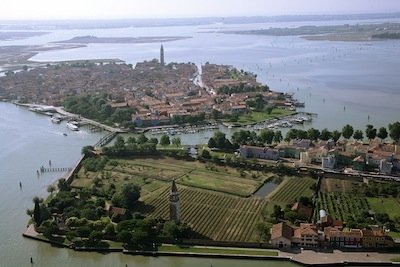 In primo piano, il vigneto di Venissa. Sullo sfondo, Burano