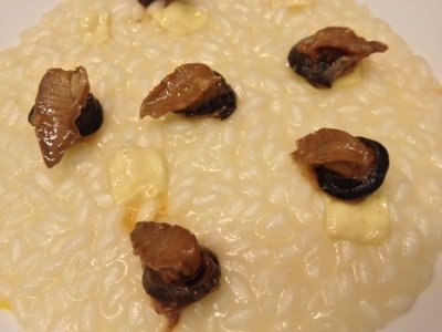 Risotto arance, curry e lumache