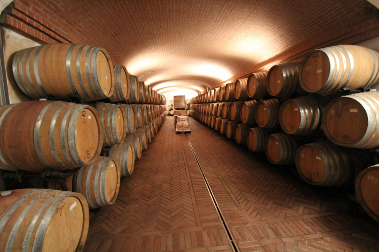 La cantina di affinamento dei vini