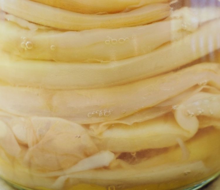 Cosa vuol dire SCOBY: symbiotic colony of bacteria and yeast. Ha le apparenze di una ciambella gelatinosa e assume la forma del contenitore in cui viene messa
