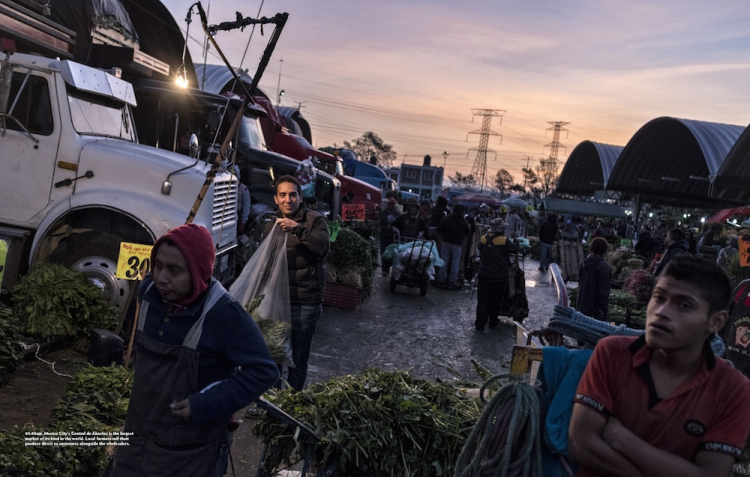 The Central de Abastos market in Mexico City, in a photo by Per-Anders Jörgensen (reportage by Nicholas Gill)
