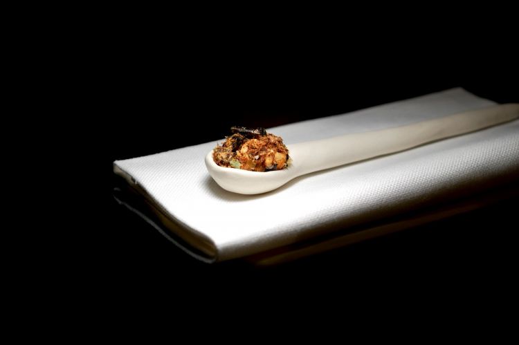 Il secondo servizio della ricciola: Ventresca di ricciola, grano saraceno e alghe
