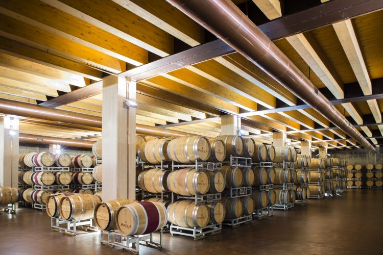 In cantina si dovrà trovare spazio per i vini che non non sono venduti a causa del blocco del settore Horeca
