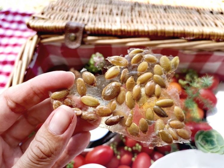 Tuiles di semi di zucca, sesamo bianco e sesamo nero accompagnati da una crema al cumino
