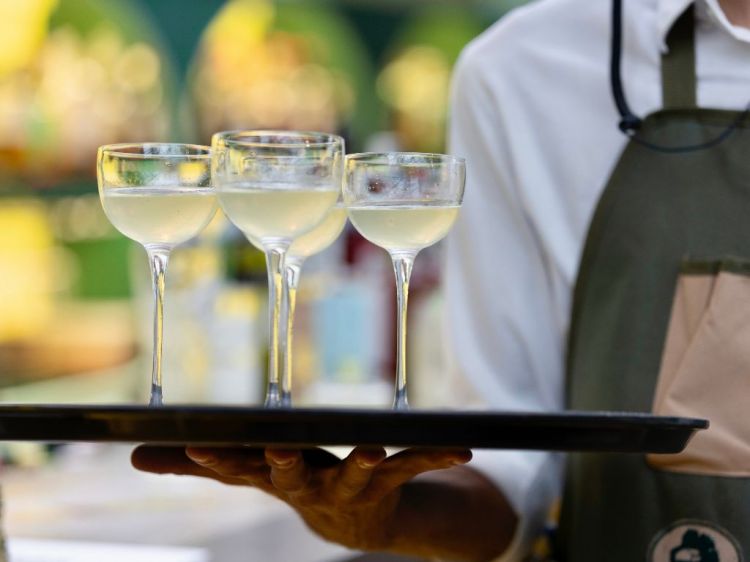 «Il menu è interamente ispirato a ciò che la Serra e il suo giardino sanno offrirci – spiega Lapo Scacciati – Piante officinali, alberi da frutto e preziose essenze diventeranno protagoniste delle nostre creazioni»
