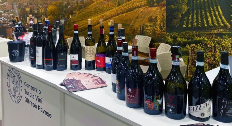 I vini dell'Oltrepò: qualità in costante crescita