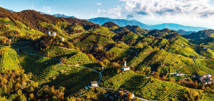 Un'altra bella immagine delle colline del Conegliano Valdobbiadene